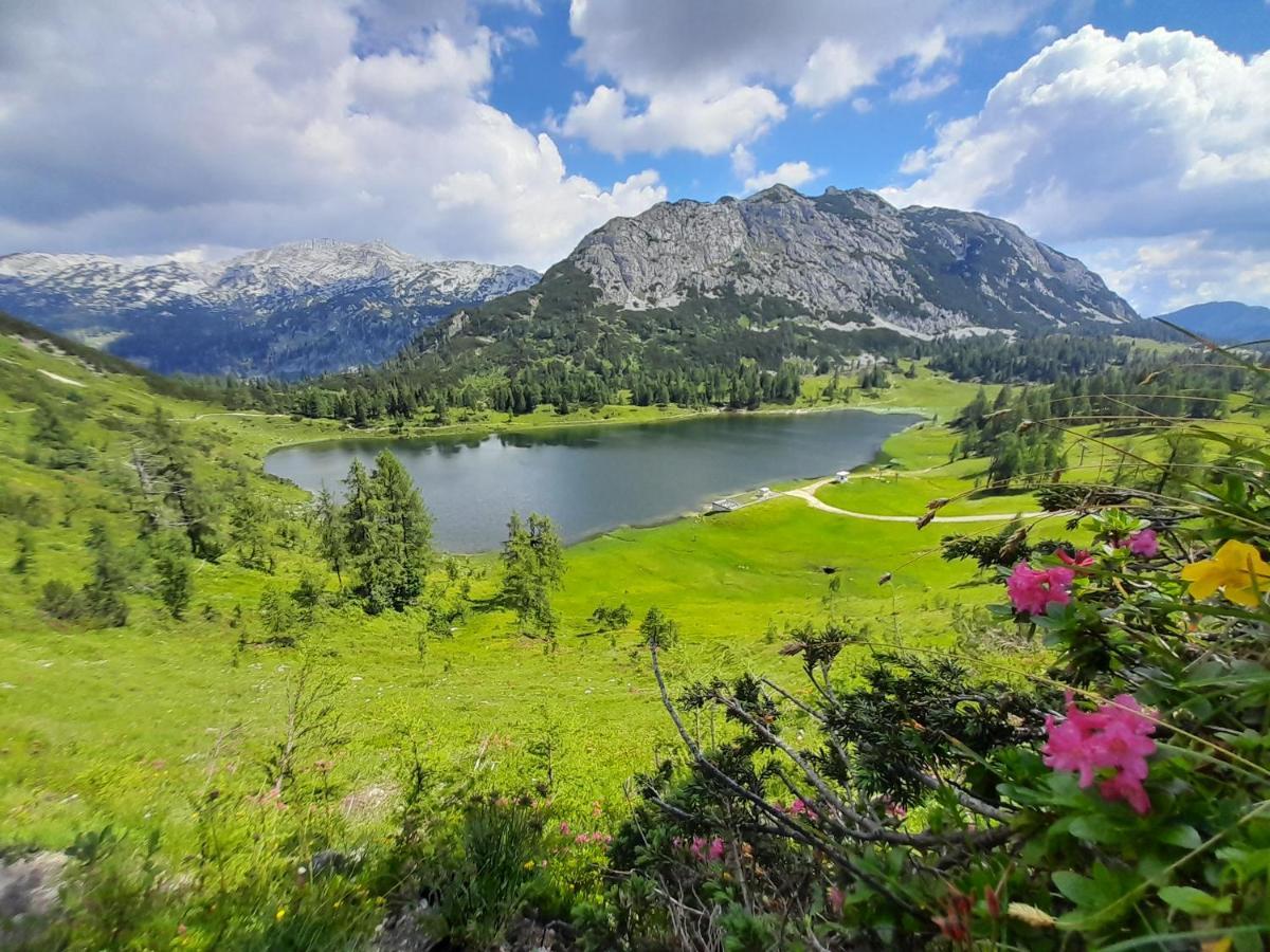 Greiner'S Ferienzimmer Tauplitz Exteriör bild